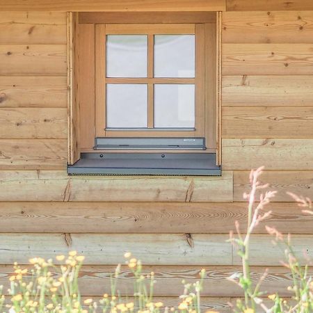 Das Koralpenchalet...Sonne, Wald, Natur! Trahutten Экстерьер фото
