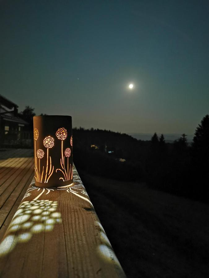 Das Koralpenchalet...Sonne, Wald, Natur! Trahutten Экстерьер фото