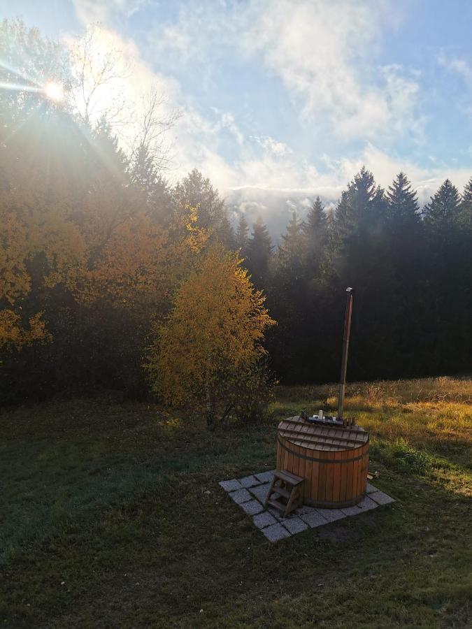 Das Koralpenchalet...Sonne, Wald, Natur! Trahutten Экстерьер фото