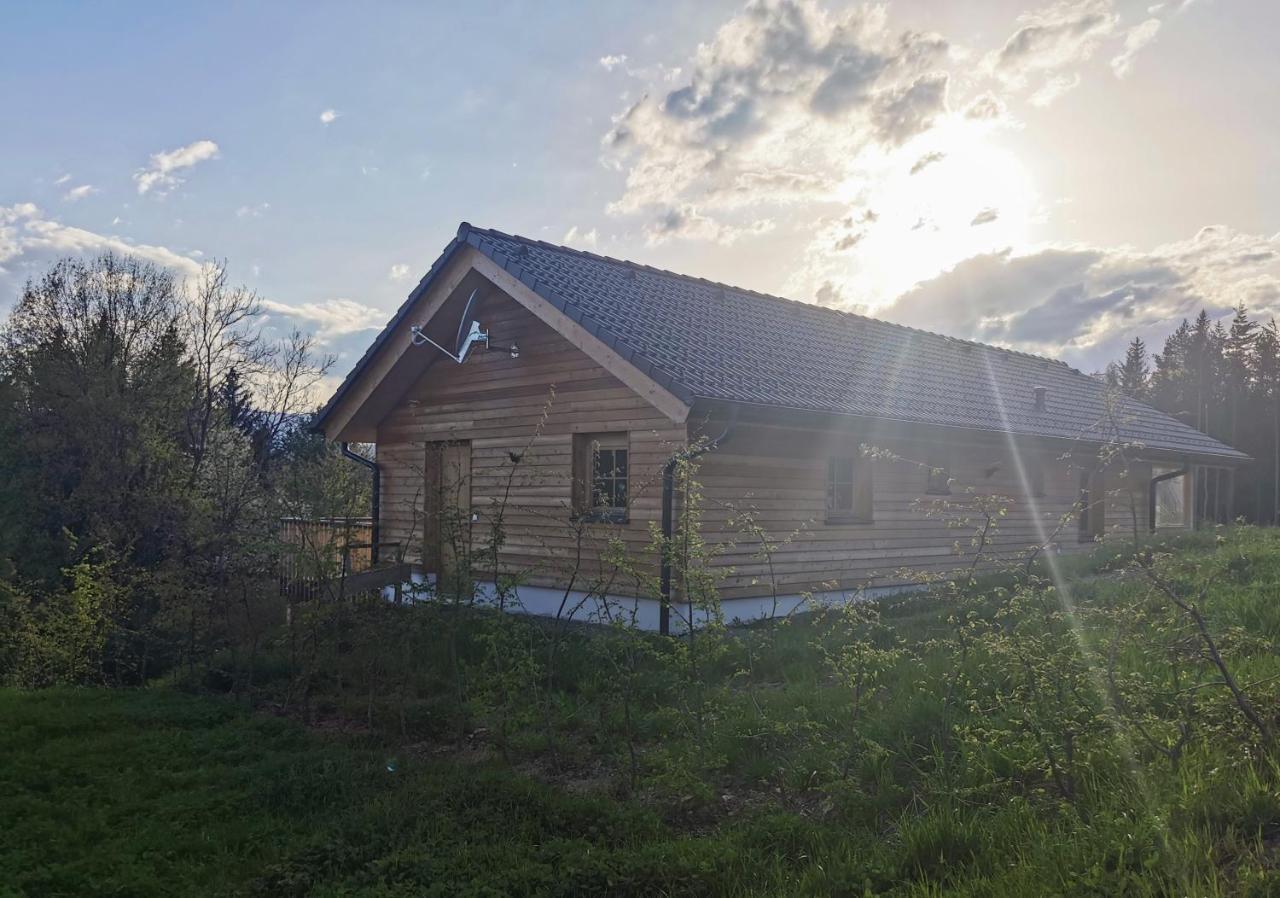 Das Koralpenchalet...Sonne, Wald, Natur! Trahutten Экстерьер фото