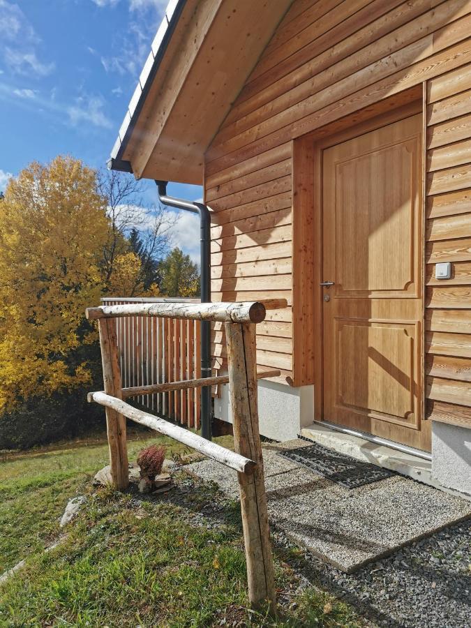 Das Koralpenchalet...Sonne, Wald, Natur! Trahutten Экстерьер фото