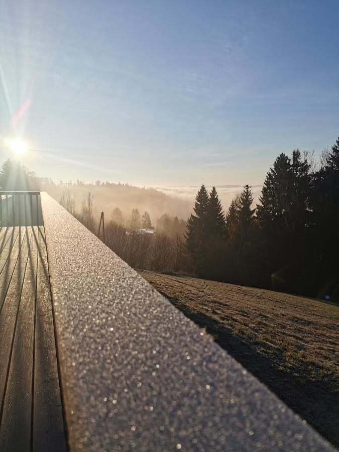 Das Koralpenchalet...Sonne, Wald, Natur! Trahutten Экстерьер фото